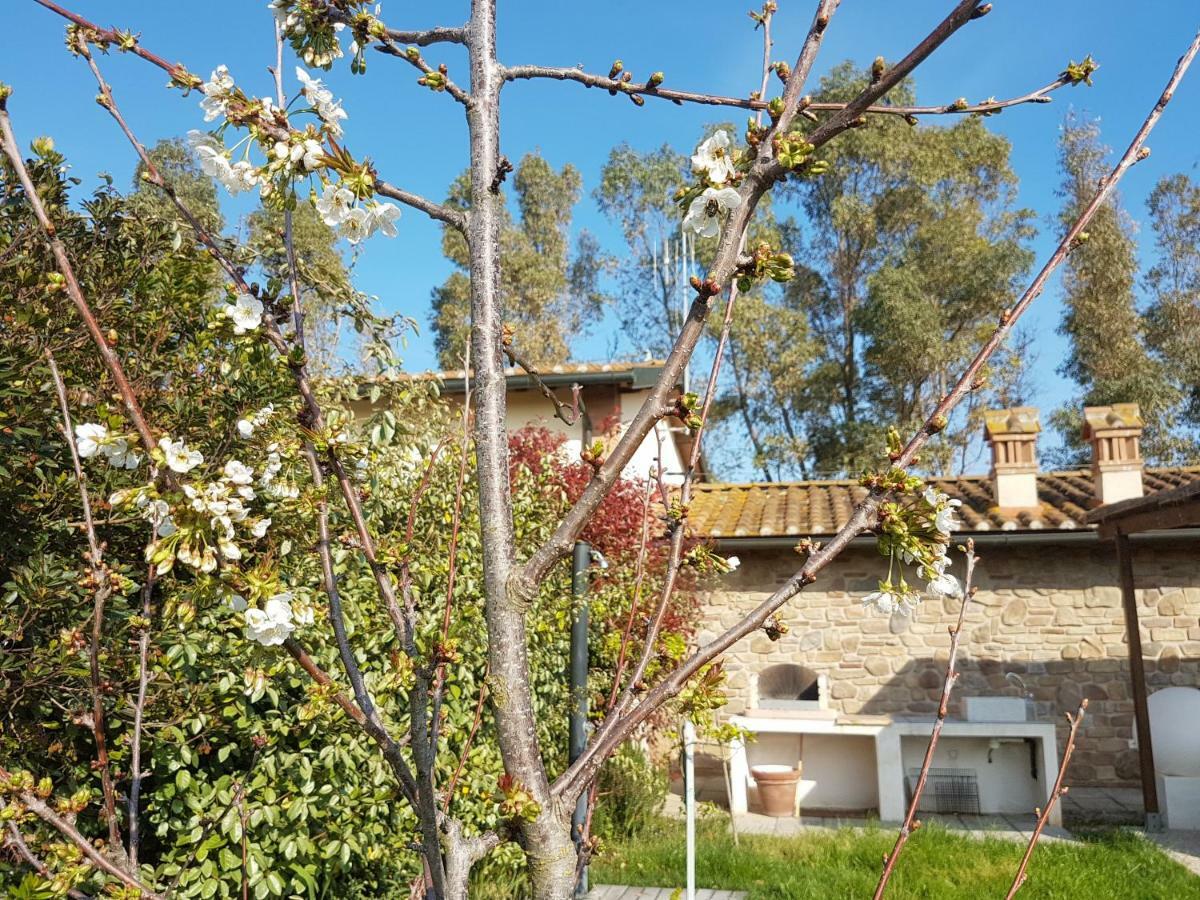 Villino Il Paduletto Villa Casa Paduletto Exterior foto
